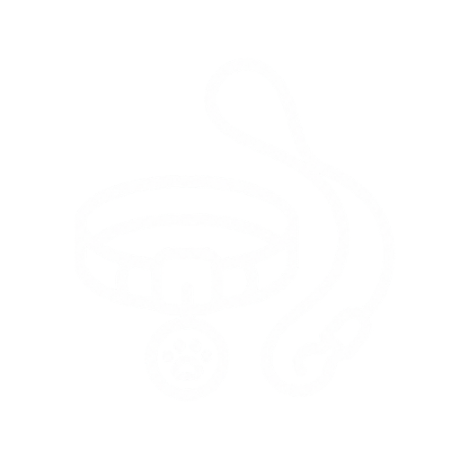 Leash and collar icon for Bone Appetit Pet pantry outdoor gear