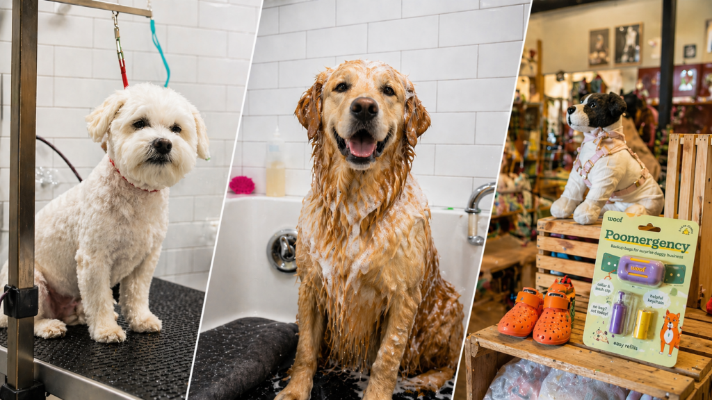 Dogs at Bone Appetit pet services grooming station in Southern Utah