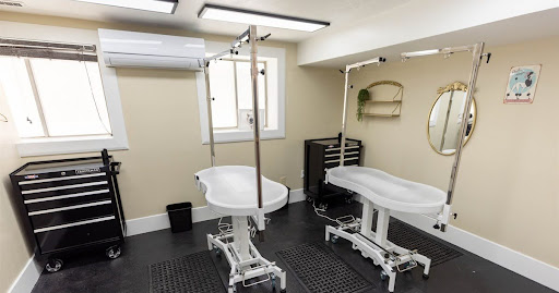 Dog Grooming in Washington, Utah: Bone Appetit Now Offers Professional Grooming Services